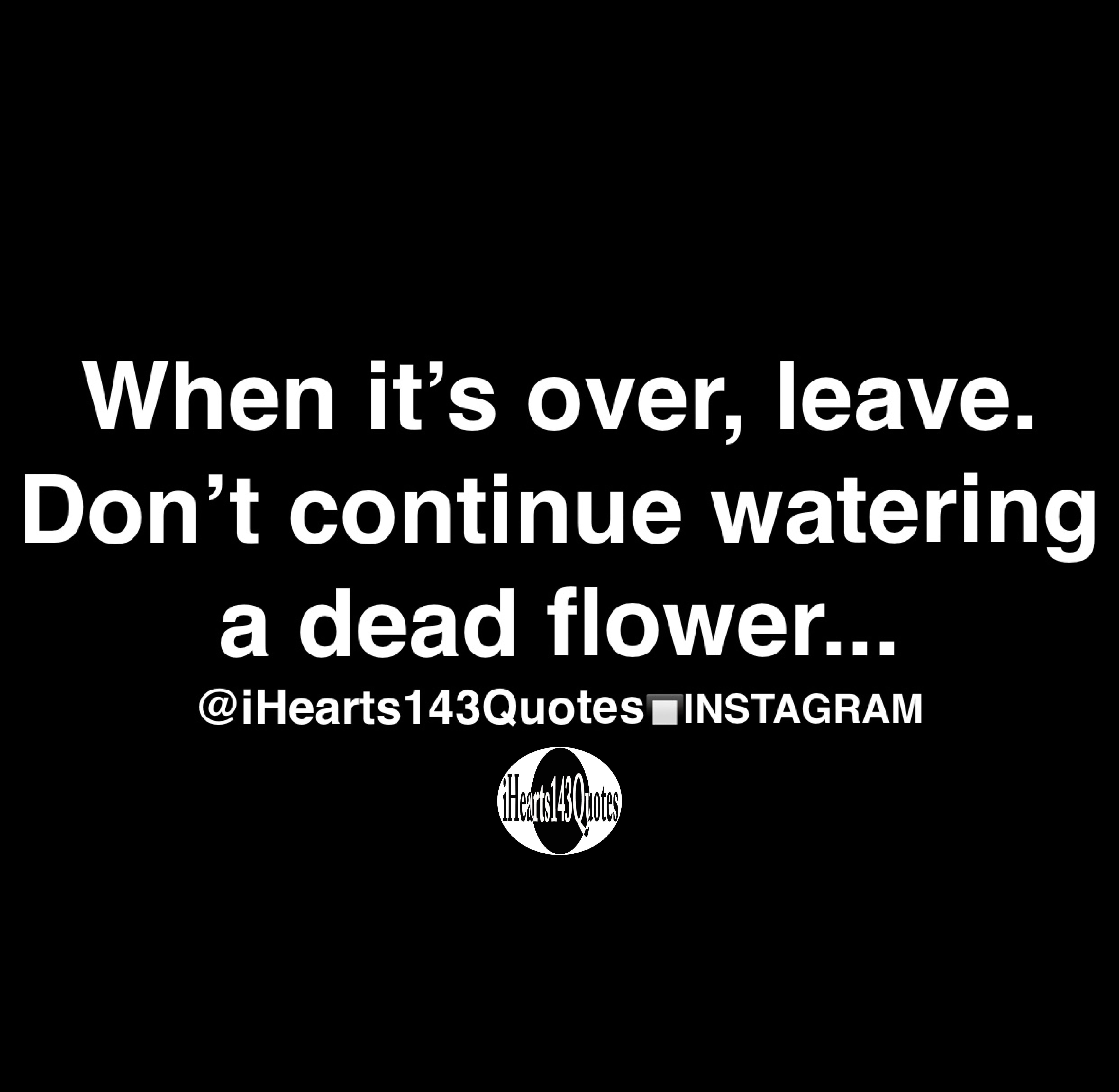 When it’s over, leave. Don’t continue watering a dead flower Quotes