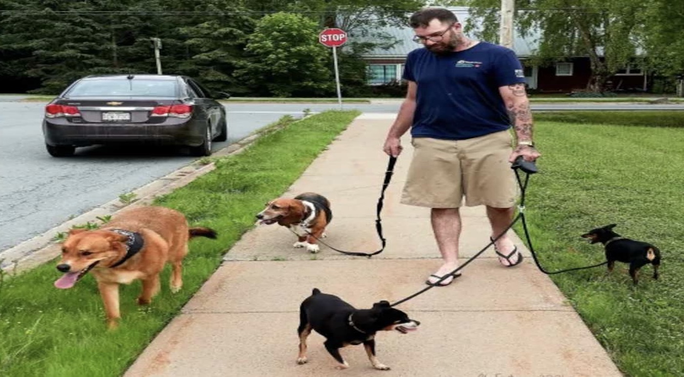 Good Samaritan Takes Care Of Car Accident Victims 2 Dogs, After One Of ...