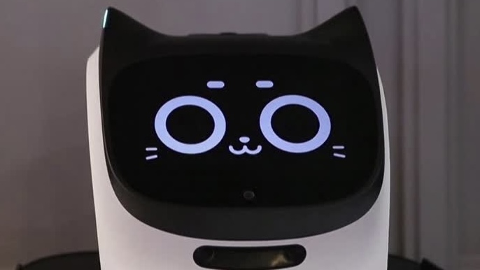 Meet The Robo-cat Waiter Waitress That Could Be Your Next Server 